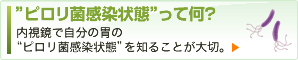 ”ピロリ菌感染状態”って何？